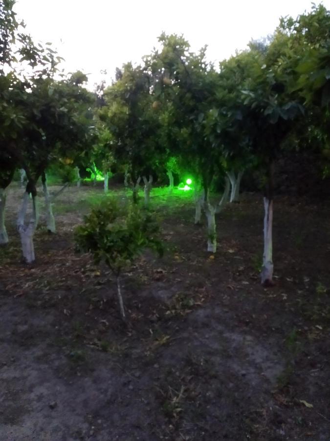 Περιβόλι Του Οδυσσέα Villa Volissos Luaran gambar